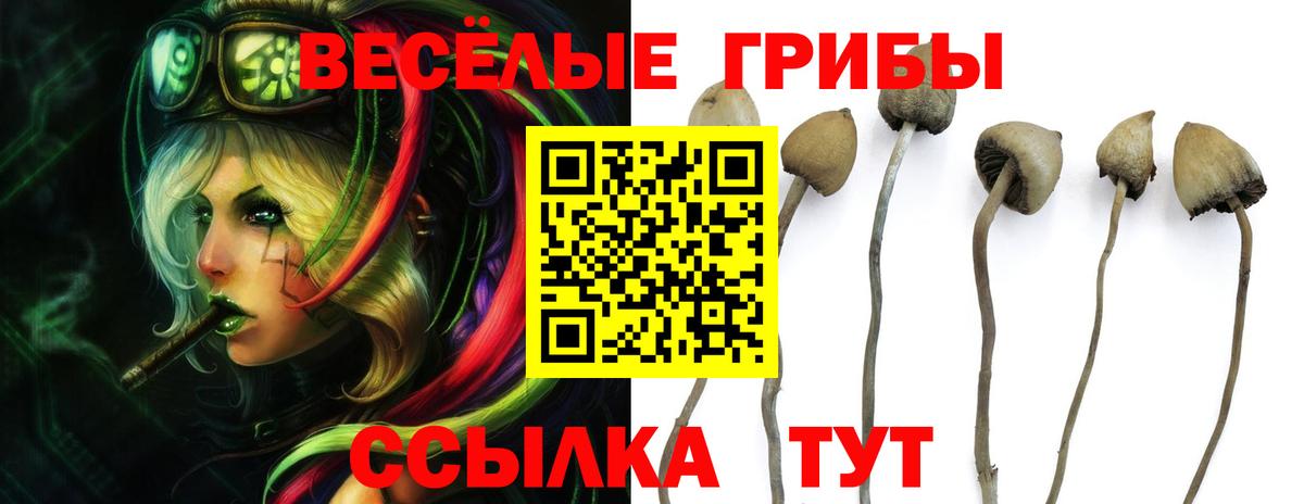 Псилоцибиновые грибы Psilocybe  Псилоцибиновые грибы Cubensis  Ростов-на-Дону  Вход с VPN 